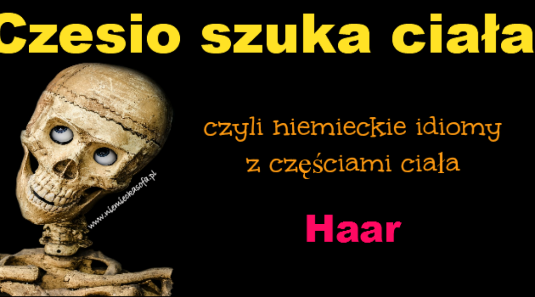 Czesio szuka ciała – idiomy z Haar