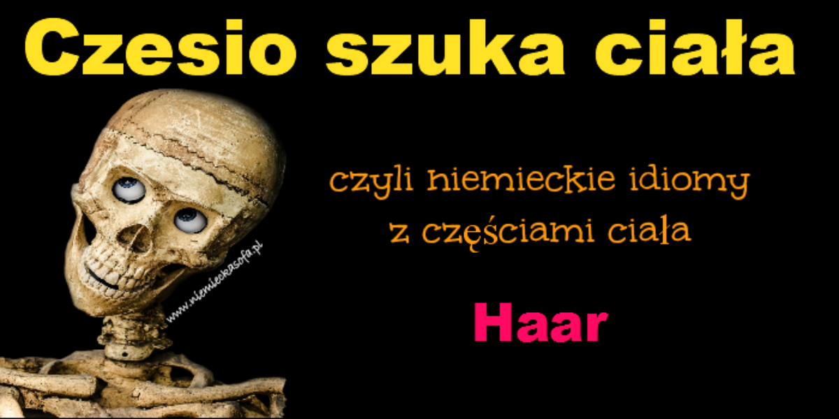 czesioszukaciala-haar