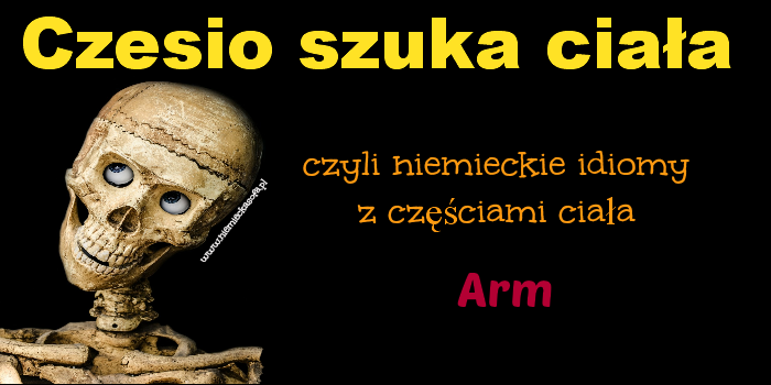czesioszukaciala-arm