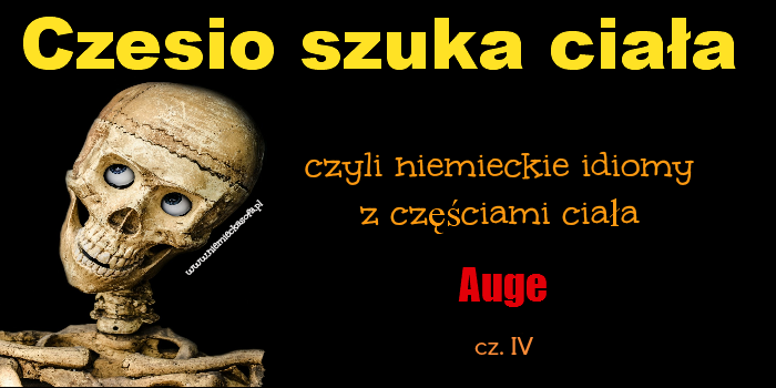 czesioszukaciala-auge-4