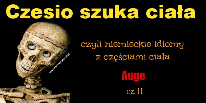 czesioszukaciala-auge2
