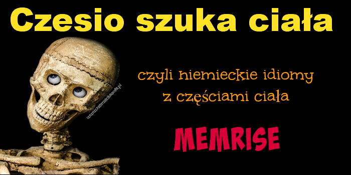 czesioszukaciala-memrise