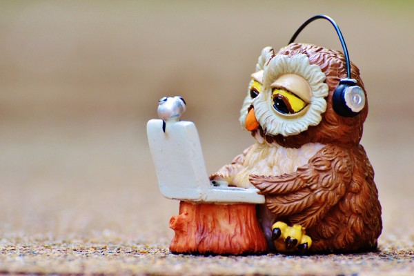 owl-947768_1920