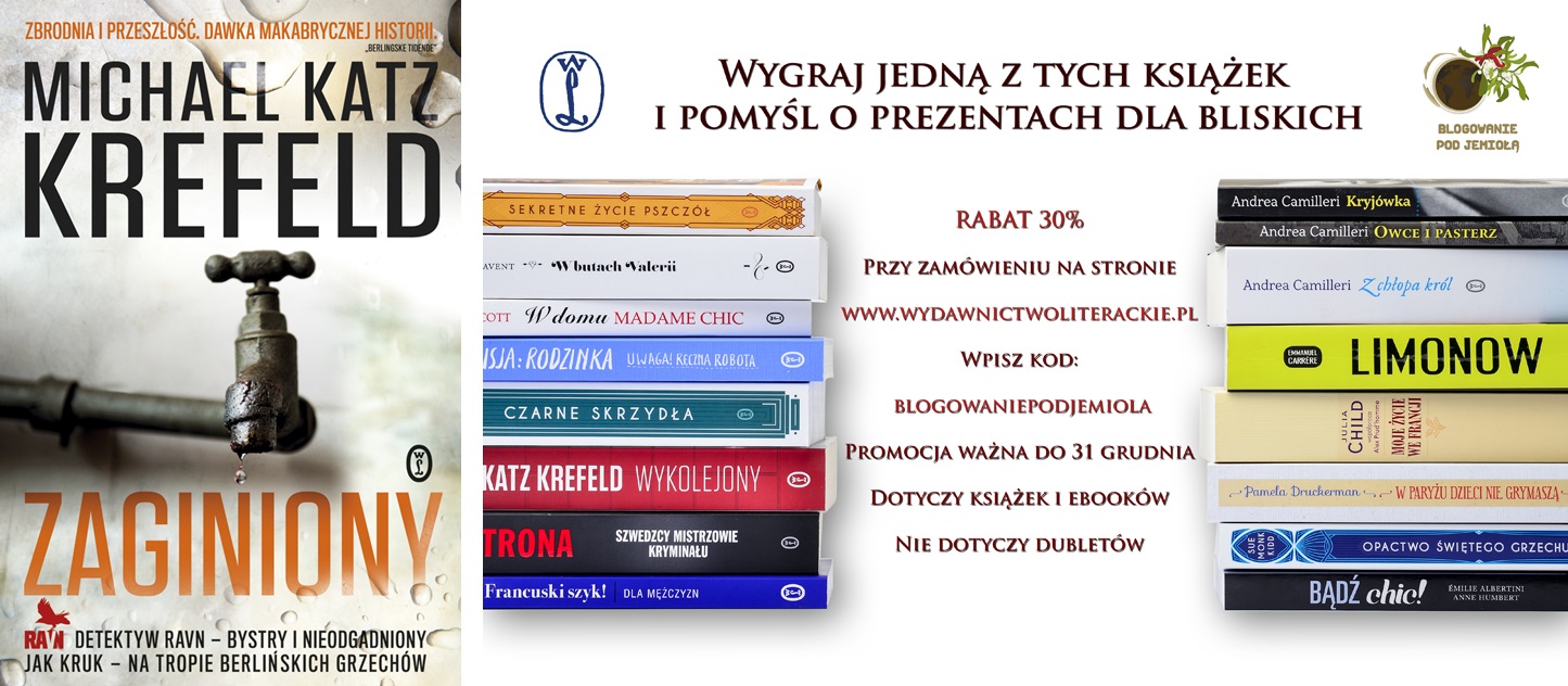 Zaginiony - okladka.indd