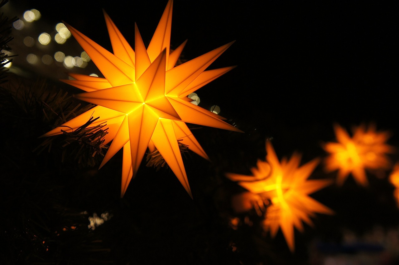 poinsettia-443488_1280