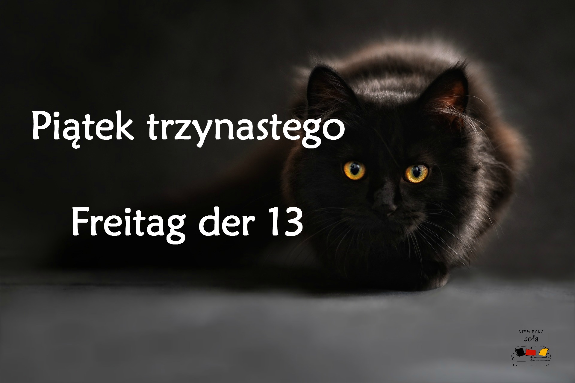 13go